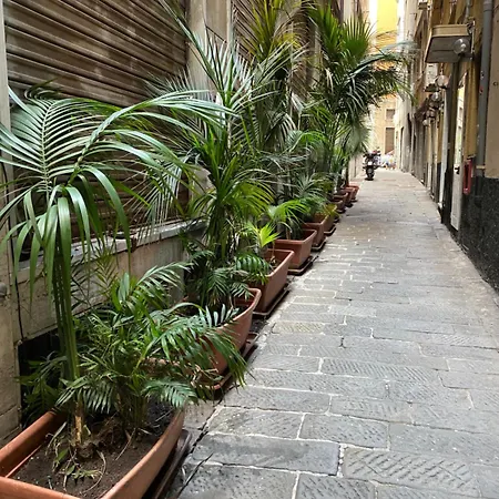 Veronese 3*
