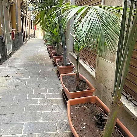 Veronese Genova