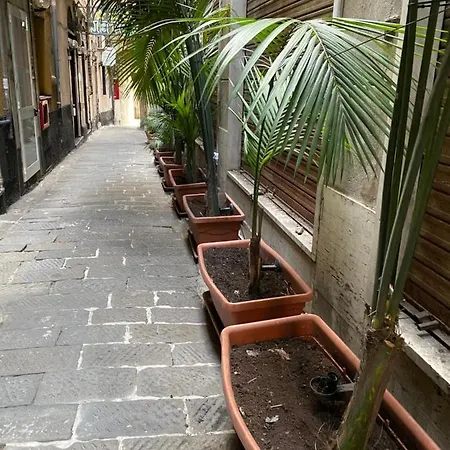 Veronese Hotel 3*